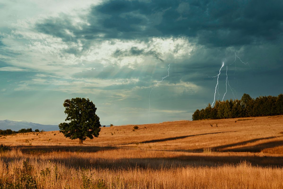 Horizontal: Luminar AI processing of Lone Tree in the Field